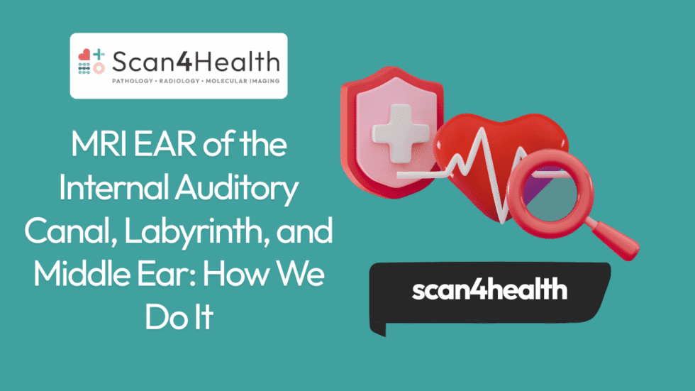 MRI EAR of the Internal Auditory Canal, Labyrinth, and Middle Ear: How ...