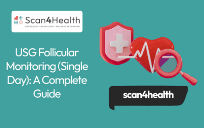 USG Follicular Monitoring (Single Day): A Complete Guide