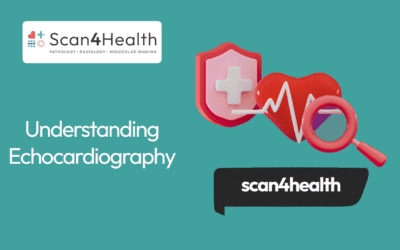 Understanding Echocardiography