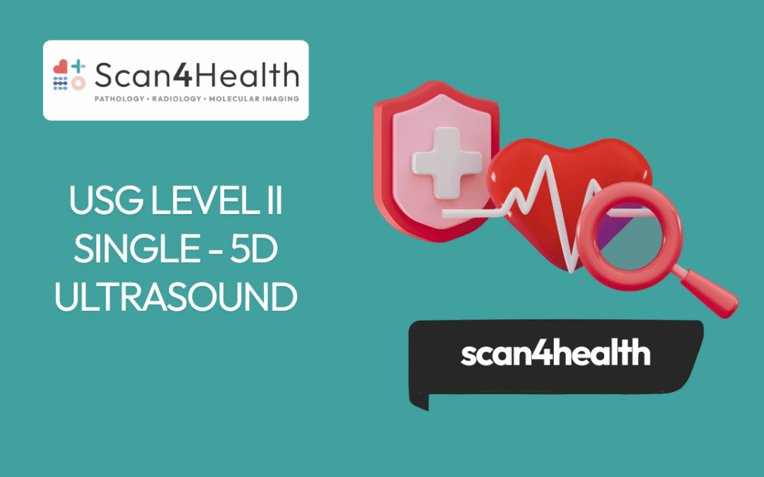 USG LEVEL II SINGLE - 5D ULTRASOUND